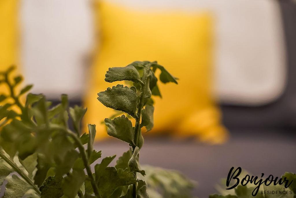 Spacious 2Br-1Ba - Grassmarket - Free Parking By Bonjour Residences エディンバラ エクステリア 写真
